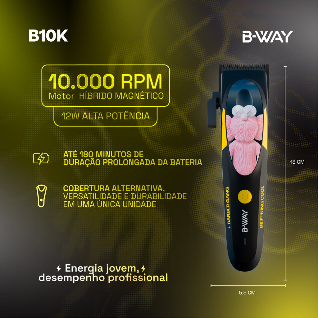 B10K-1