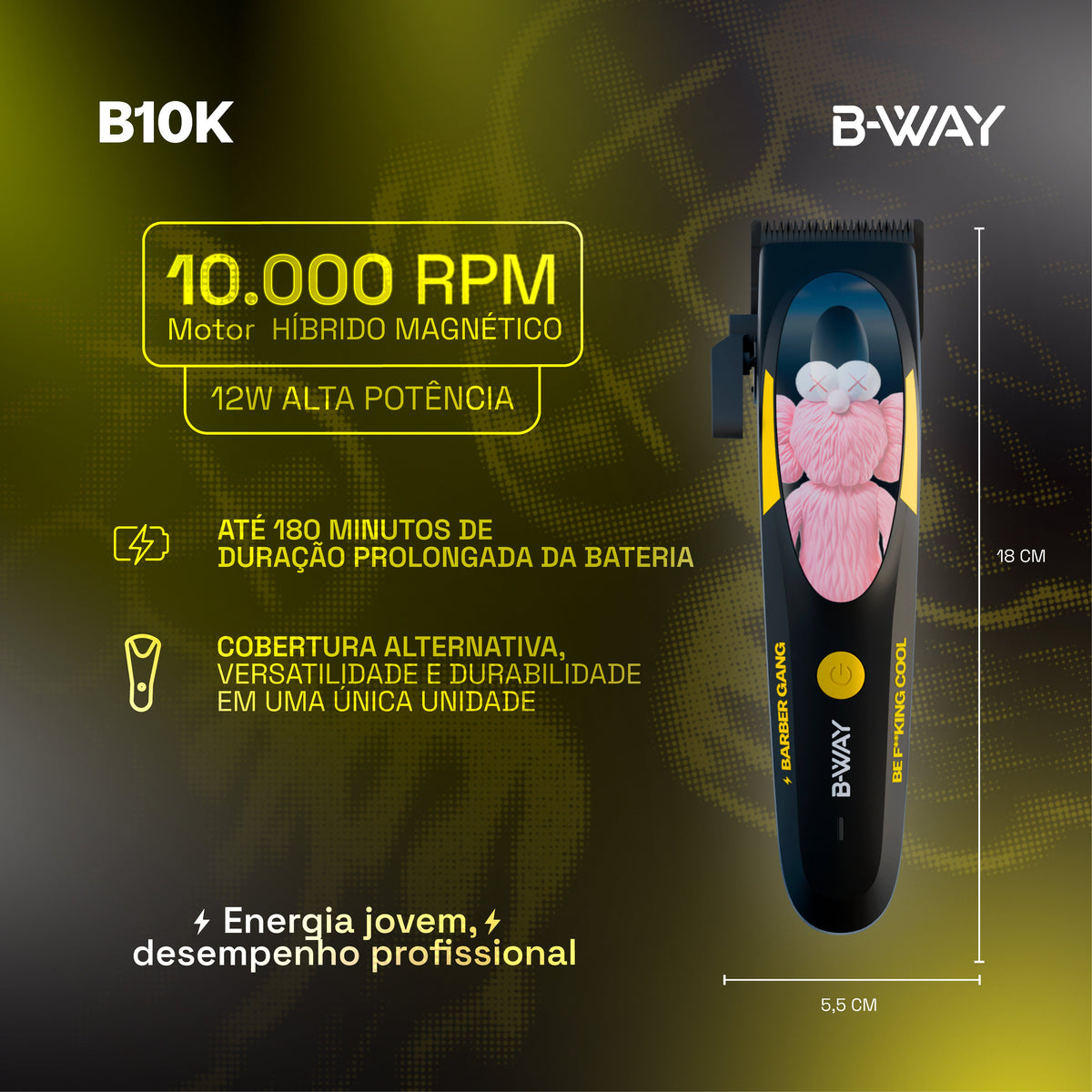 B10K-1