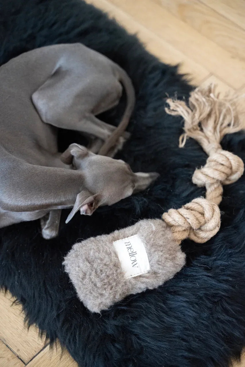 Natural Woolen Dog Tug Toy - Beige-0