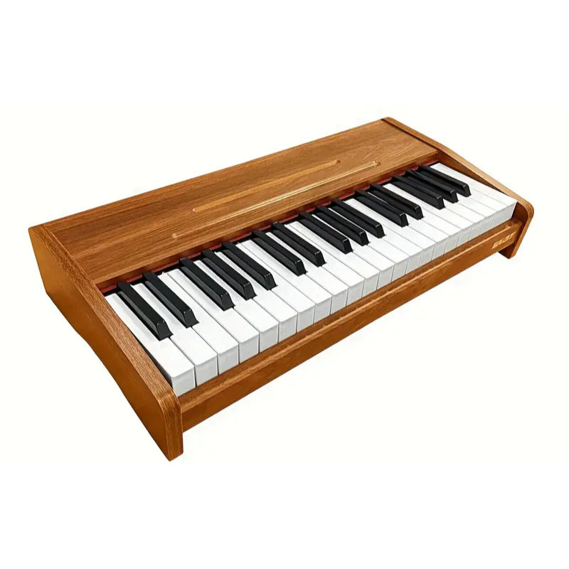 Electronic Keyboard Piano for Beginners-0